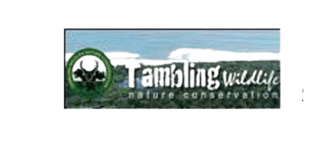 prismacons ultant icon (9)